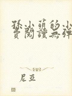 孙小萌的小说免费阅读无弹窗