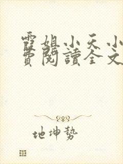 霞姐小天小说免费阅读全文无弹窗