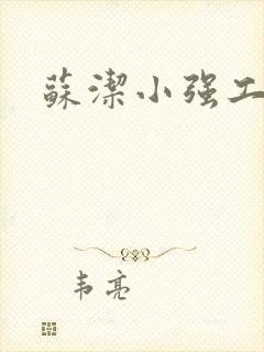 苏洁小强工地情