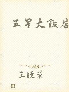五星大饭店小说封面