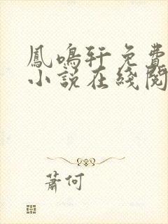 凤鸣轩免费言情小说在线阅读