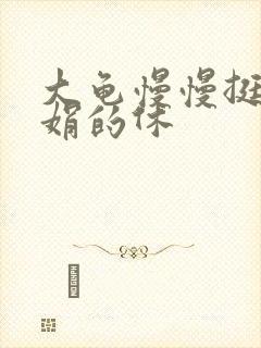 大龟慢慢挺进张娟的休