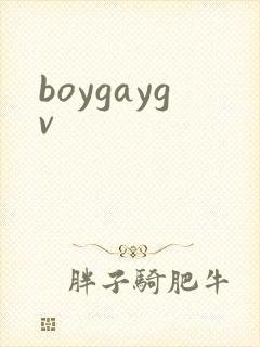 boygaygv