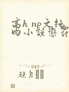 高h np文纯肉小说惩罚