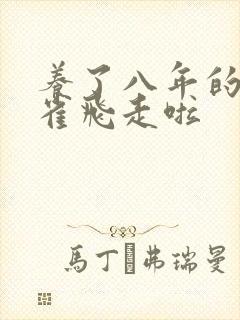 养了八年的金丝雀飞走啦封面