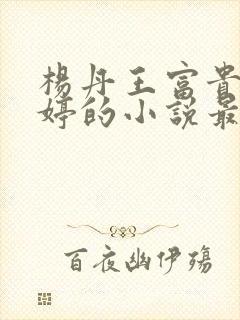 杨丹王富贵苏曼婷的小说最新章节更