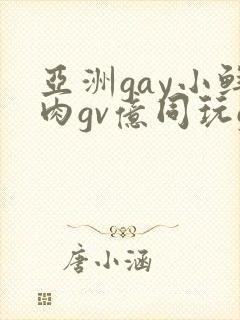 亚洲gay小鲜肉gv亿同玩gv
