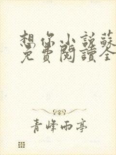 想你小说苏玛丽免费阅读全文无弹窗