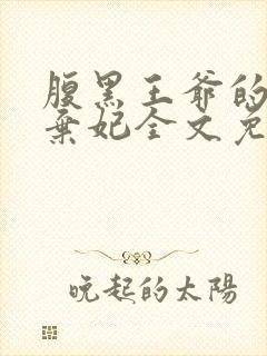 腹黑王爷的绝色弃妃全文免费