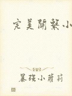 完美关系小说封面