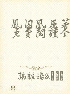 凤囚凰原著小说免费阅读全文