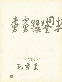 老少gay同性男男澡堂子