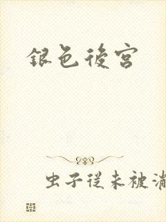 银色后宫封面