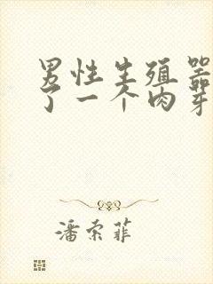 男性生殖器上长了一个肉芽