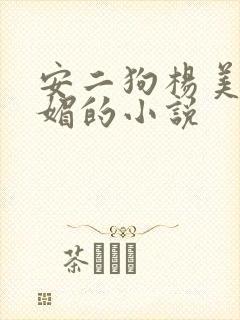 安二狗杨美玲玉媚的小说