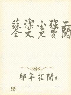 苏洁小强工地情全文免费阅读