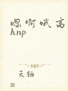 嗯 啊 哦 高hnp