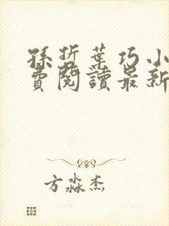 孙哲叶巧小说免费阅读最新章节