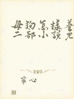 母狗怎样养熟第二部小说免费阅读封面