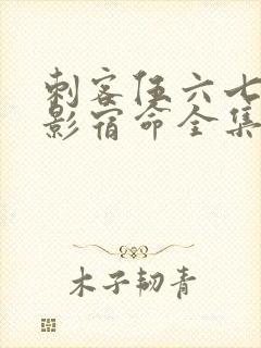 刺客伍六七之暗影宿命全集免费观看高清版封面