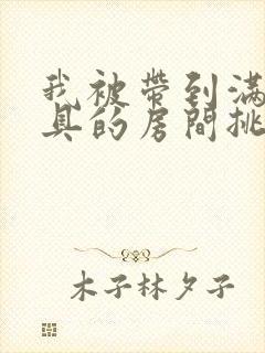 我被带到满是玩具的房间挑调游戏