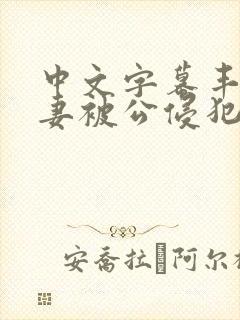 中文字幕丰满人妻被公侵犯封面