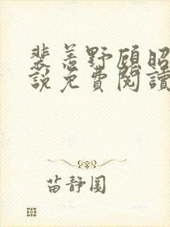 裴羡野顾昭宁小说免费阅读最新章节封面