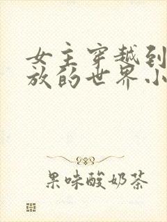 女主穿越到很开放的世界小说封面