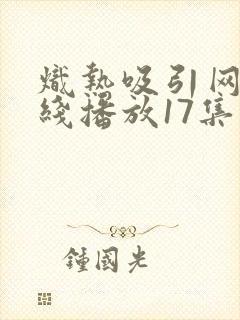 炽热吸引网剧在线播放17集免费观看