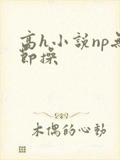 高h小说np无节操