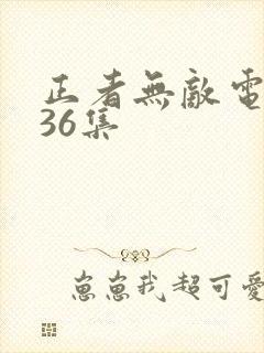 正者无敌电视剧36集