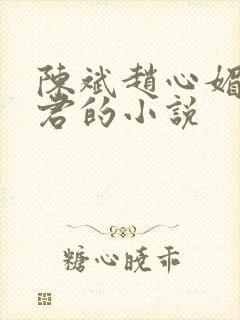 陈斌赵心媚高婉君的小说封面