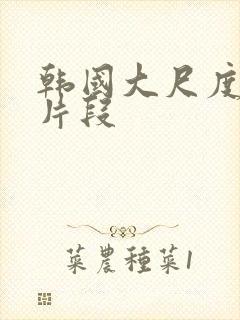 韩国大尺度激情片段