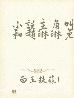 小说主角叫陈凡和赵琳琳免费阅读