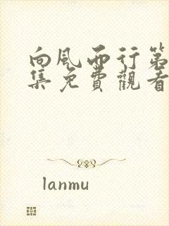 向风而行第19集免费观看全集封面