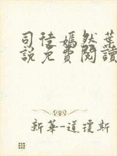 司徒嫣然叶凡小说免费阅读全文最新