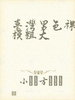 台湾男色裸体男模粗大封面