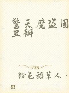 惊天魔盗团2 豆瓣封面