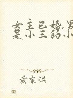 女主已婚,男主是小三的小说