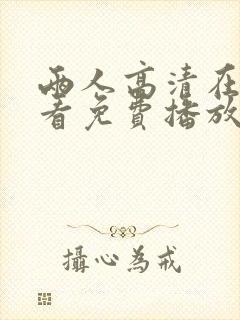 两人高清在线观看免费播放电视剧网