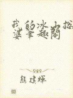 我的冰山总裁老婆笔趣阁