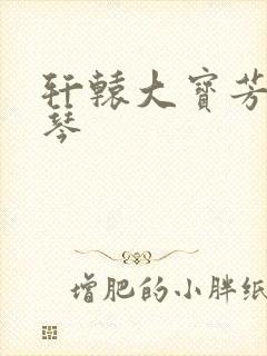 轩辕大宝芳菲雅琴