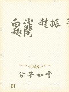 白洁 赵振 笔趣阁封面