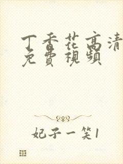 丁香花高清在线免费视频