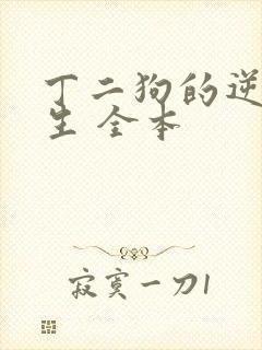 丁二狗的逆袭人生 全本