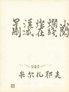 星汉灿烂小说无删减在线阅读