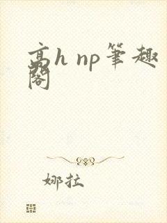 高h np笔趣阁