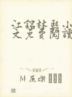 江铭林熙小说全文免费阅读