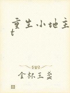 重生小地主txt