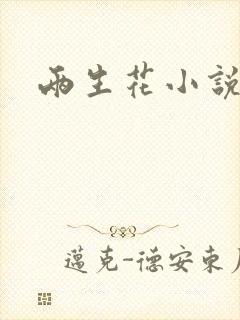 两生花小说封面